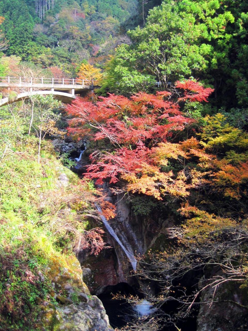 Nature Resort In Niyodo Niyodogawa ภายนอก รูปภาพ